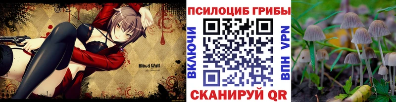 Псилоцибиновые грибы мухоморы  ссылка на мегу рабочий сайт  Аркадак  где можно купить  