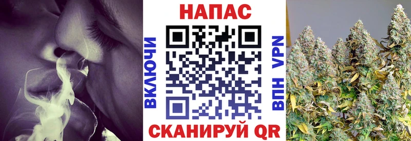 как найти   Аркадак  Бошки Шишки марихуана 